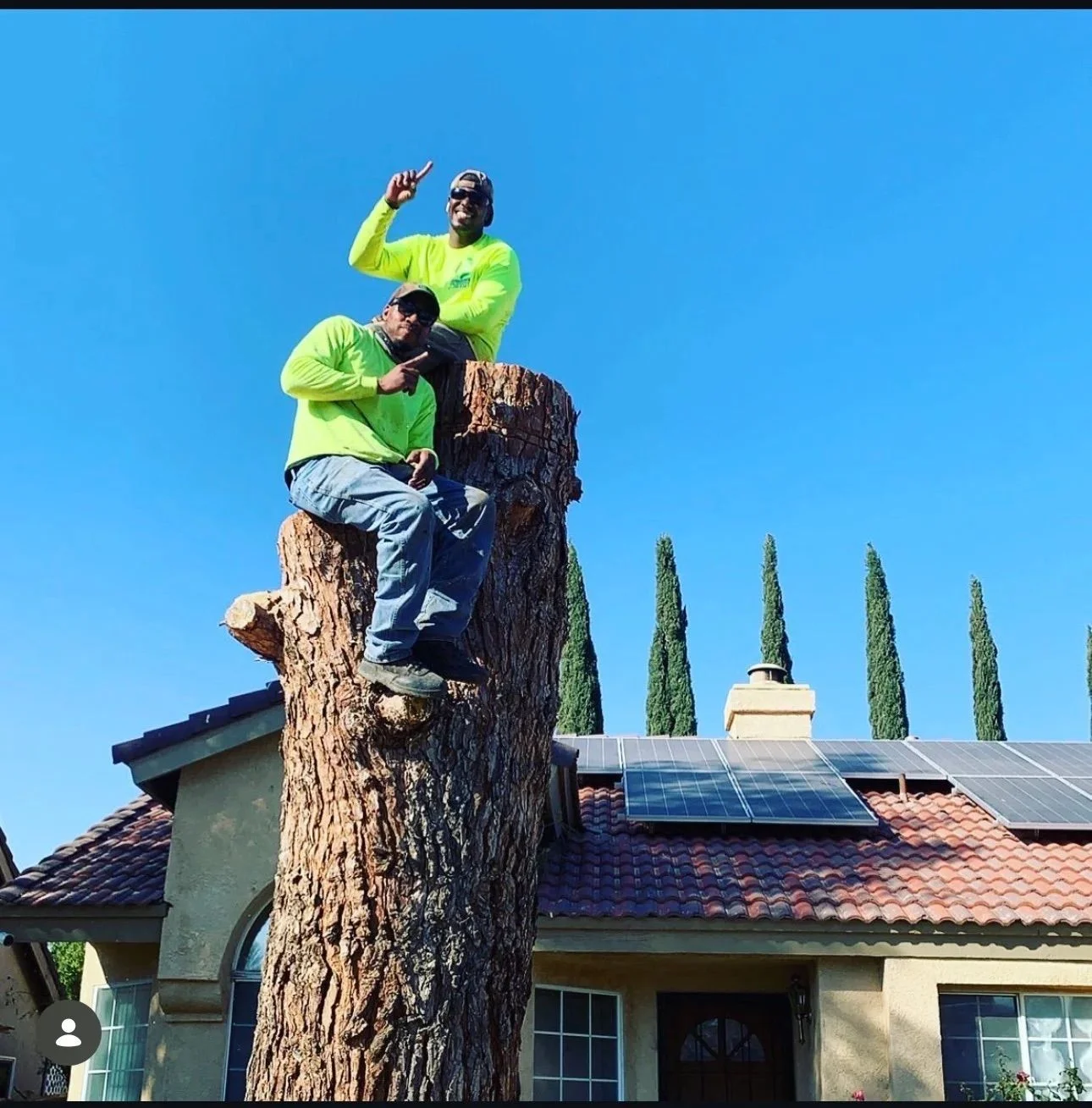 Two arborists removing large tree trunk sections near residential home with tile roof