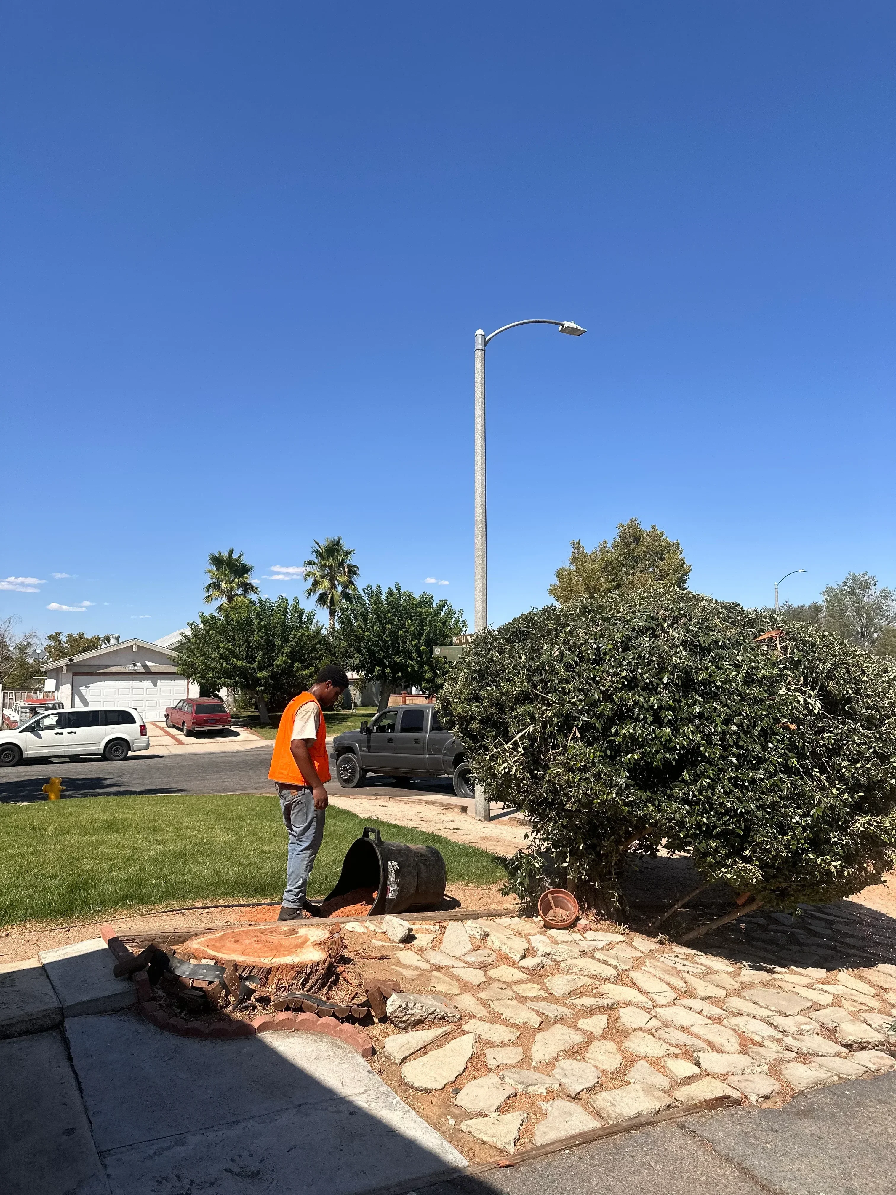Large tree removal from brick residential property with fresh sod installation