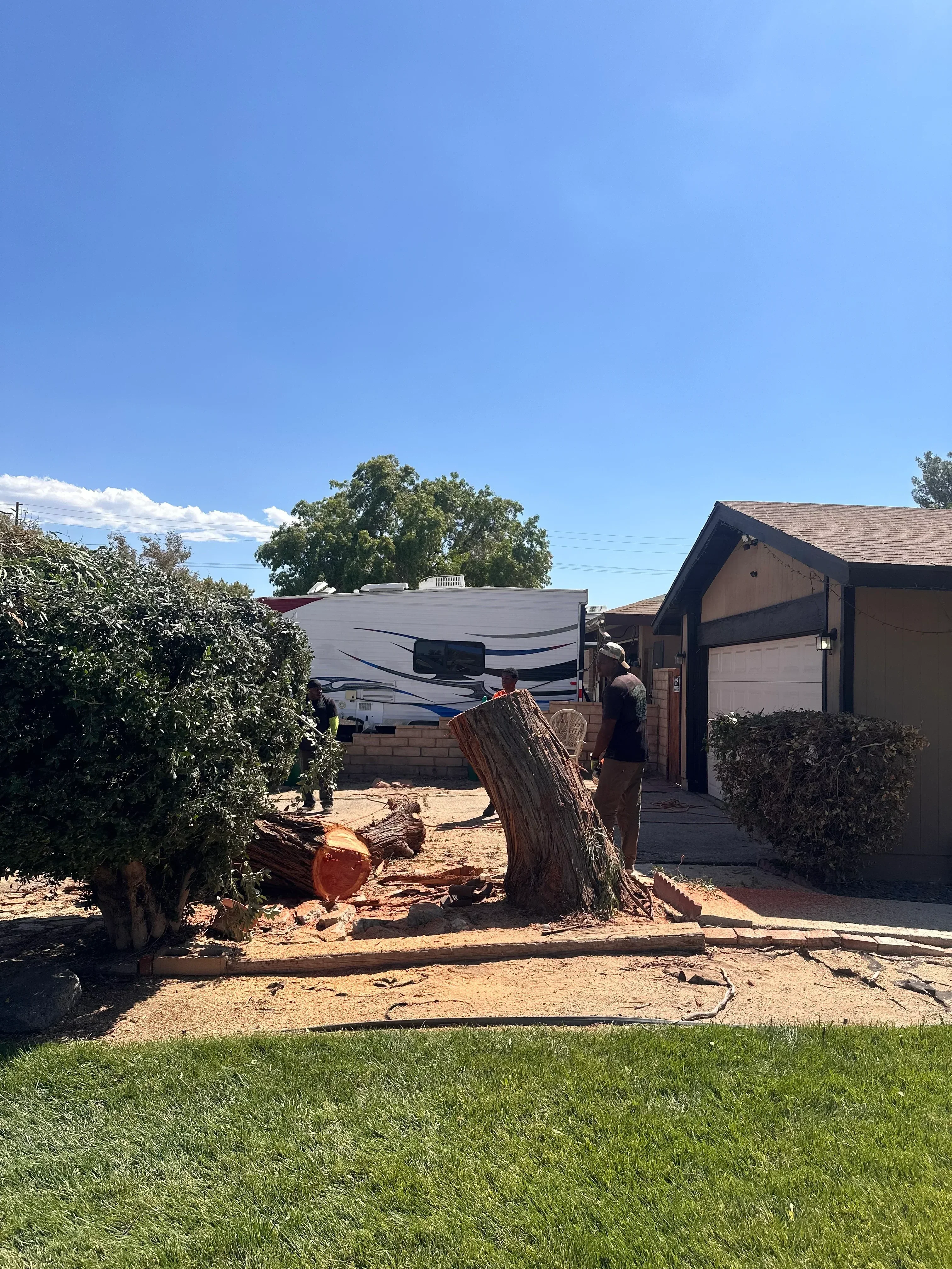 Tree removal crew loading large felled log onto white service truck at residential property